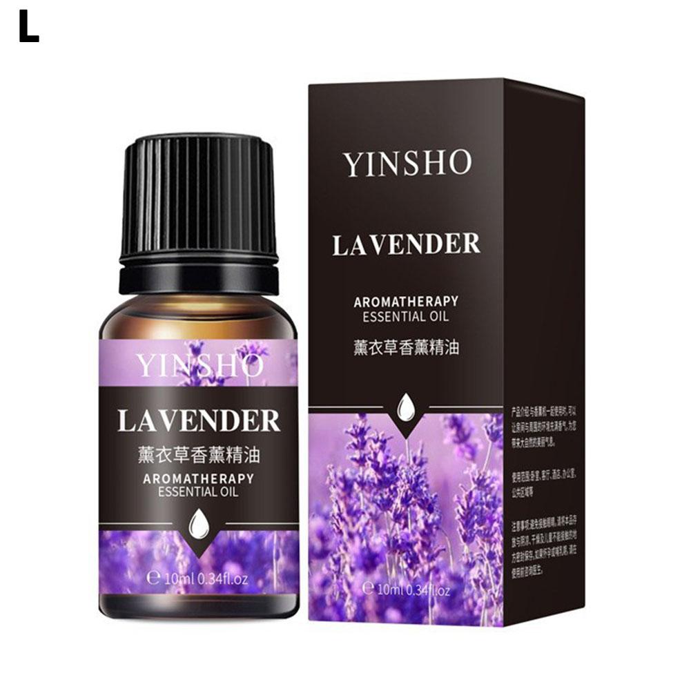 2025 NEU 10ml Ätherische Öle für Aroma Diffuser Luftbefeuchter Zuhause Wasserlöslich Lavendel Auto Lufterfrischer Parfüm Nachfüllung