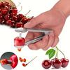 Dénoyauteur de cerises Dénoyauteur de dattes rouges et d'olives Outil de cuisine domestique pour dénoyauter les fruits et légumes Petit outil Dénoyauteur de cerises