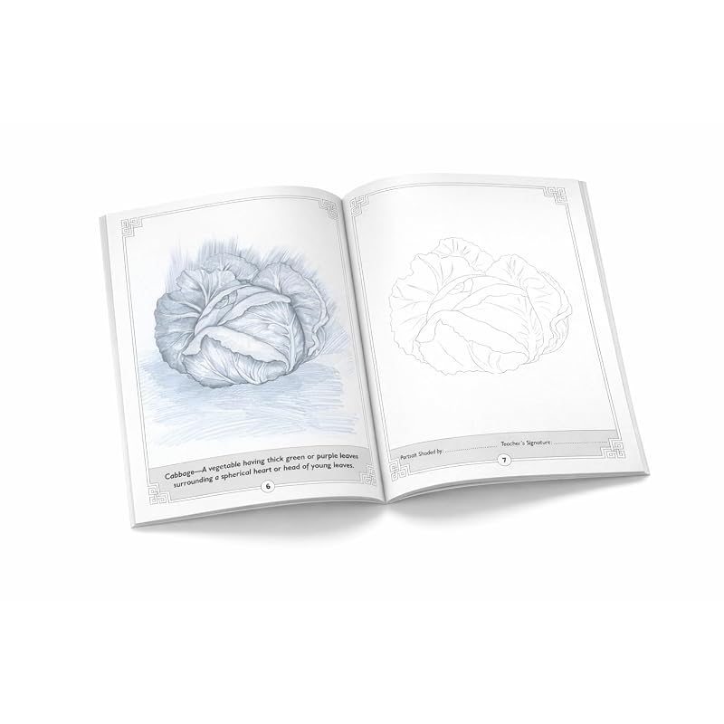 Learn Pencil Shading Fruits & Vegetables | StepbyStep Sketching Guide for Beginners | Drawing Practice Book for Students & Hobby Artists | 32 Page