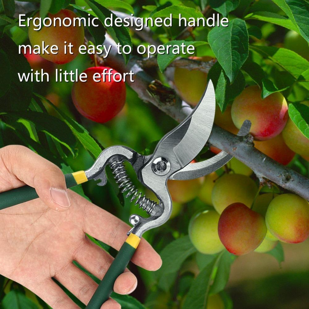 Black and Green Garden Shears High Carbon Steel Grafting Tools Ideal Hand Clippers  Bonsai Care