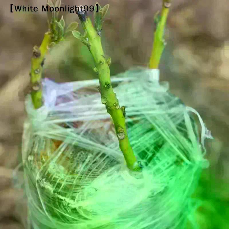 Nastro Film per Innesto in PE 200M Autoadesivo per Piante da Vivaio di Alberi da Frutto Piantine Vite Fiorista Forniture per Innesto Pomodoro Elastico