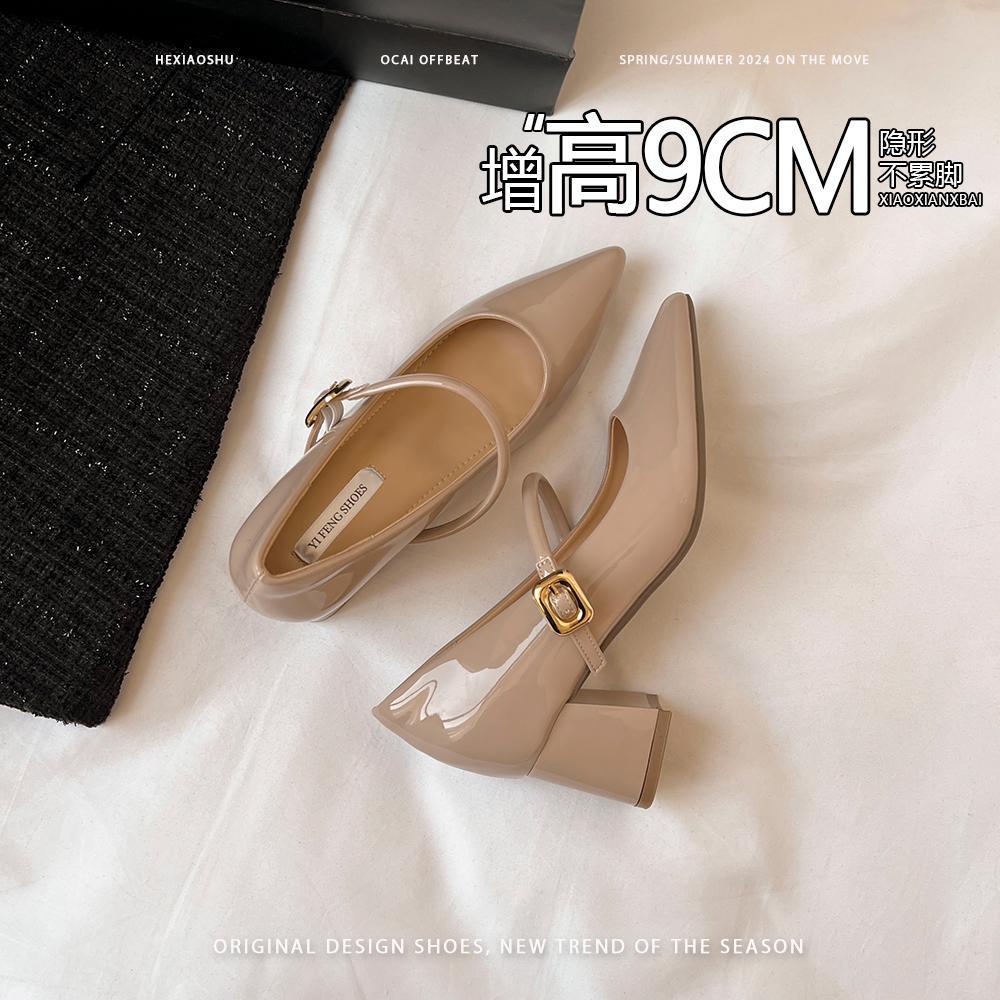 Sheepskin Version~ Inner Height Increase 9cm Pointed High Heels French Gentle Evening Wind Thick Heel Mary Jane Shoes Women's Single Shoes