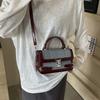 IELGY Exquisite Fashionable Handbag Fashionable All-Match Contrast Color Shoulder Bag High-End Light Luxury Trendy Cross-Body Bag