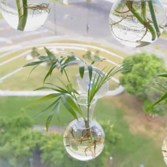 2 Pcs Wall Hanging Terrariums Planter for Hydroponics Plants Clear Propagation Station Wall Mounted Flower Vase for Home Office Living Room