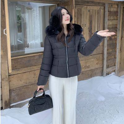 Abrigo corto de algodón para mujer para invierno Nuevo corte ajustado con capucha Cuello de piel blanca Abrigo de algodón para persona pequeña