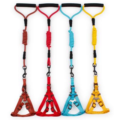 Pet Traction Rope Small Dog Leather Tao Round Rope Chest and Back Foam Handle Solid Color Climbing Rope Dog Rope
