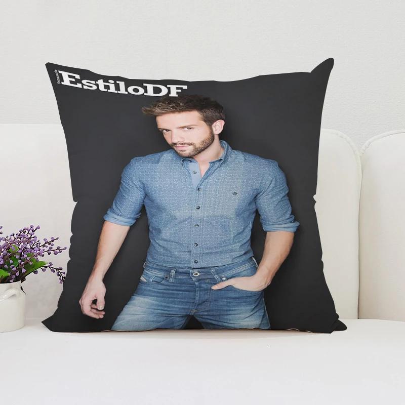 40x40cm Doppelseitig bedruckter P-Pablo Alboran Kissenbezug, Sofakissenbezug, Stuhl-Lendenkissen, Bettkissen, Geschenk Zuhause