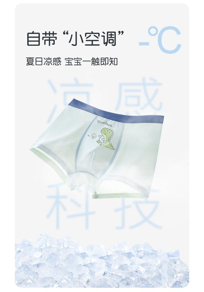 Boys' Ice Silk Underwear
