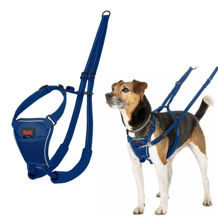 Harnais anti-traction pour chien - Halti - Réfléchissant - Sangle rembourrée - Taille S - Bleu Cobalt - Polyester