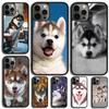 Siberian Husky Dog Phone Case For Samsung Galaxy S10 S22 S23 S24 Note 10 20 Lite S20 Plus S21 Ultra Back Cover