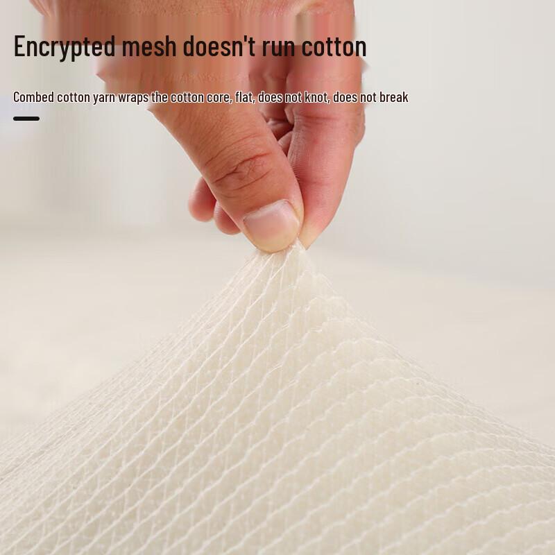 Thickened Cotton Quilt Duvet Insert