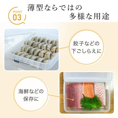 Iwasaki Natural Keeper Bat Keeper Storage Container, 2.4L (L), B-381 N