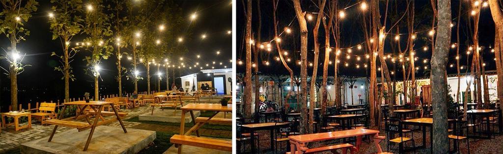 Garden Light Garland 10m with Bulbs, Outdoor Chain of Garden Lights