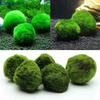 HOT! 3-4cm Marimo Moss Balls Live Aquarium Plant Algae Fish Shrimp Tank Ornament Simulation Green Algae Balls Artificial Plant