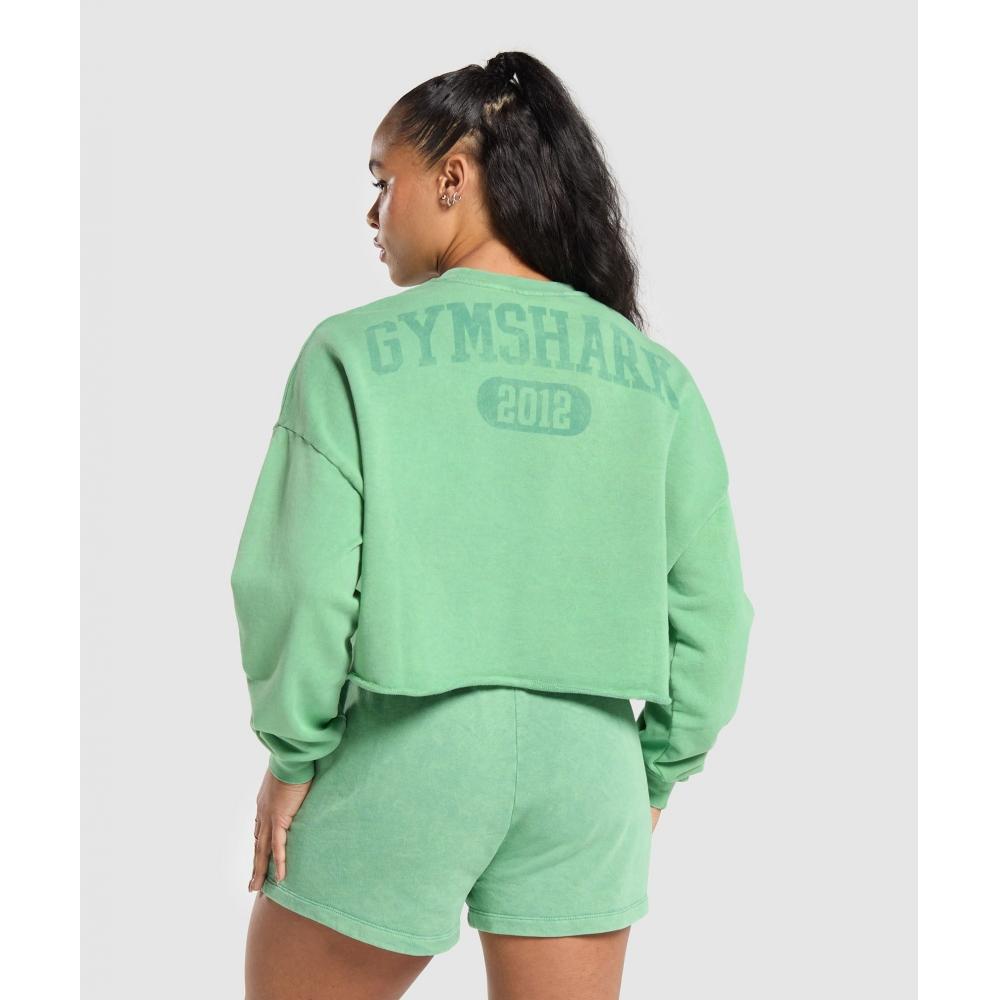 

Gymshark Толстовка средней длины Collegiate Shadow Washed Lagoon Green B7A2V ECTD XS