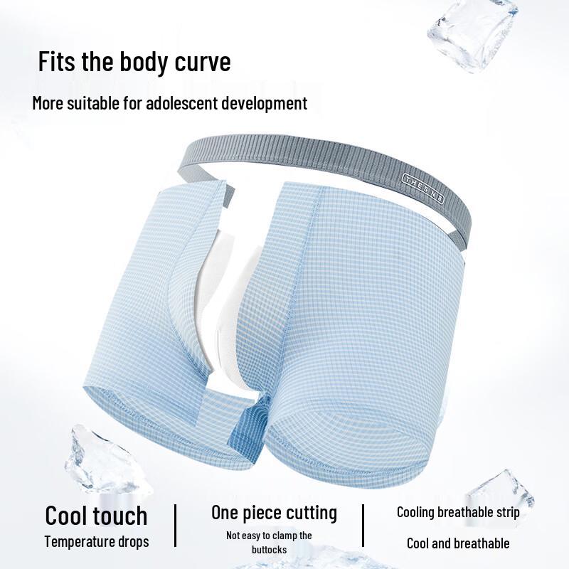 Men's Ice Silk Underwear Boxer Briefs