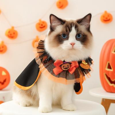 Katten – Kleding voor katten