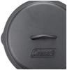 COLEMAN Classic Iron Skillet, 10-inch, 2000021880