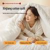 Muji Class A Antibacterial 100% Cotton Quilt