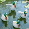 Jardinagem e paisagismo – Decoração de jardim