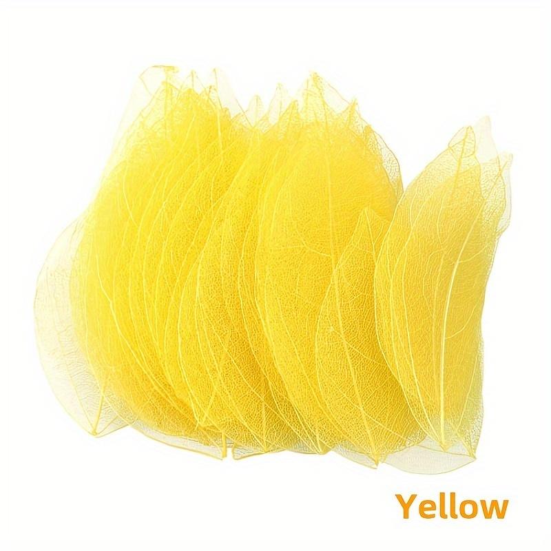 

10pcs Colorful Diamond-Veined Pressed Flowers, Decorative Art Dried Flowers, DIY Handmade Materials For Making Accessories 10pcs--yellow King Kong