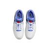 Nike Full Force Low 'Polar' Men's FB1362-100