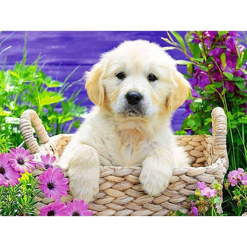 

Новый 5D DIY алмазная живопись собака цветок Алмазная вышивка животное вышивка крестиком полная круглая дрель домашний декор ручной художественный подарок Full Round 20x30CM