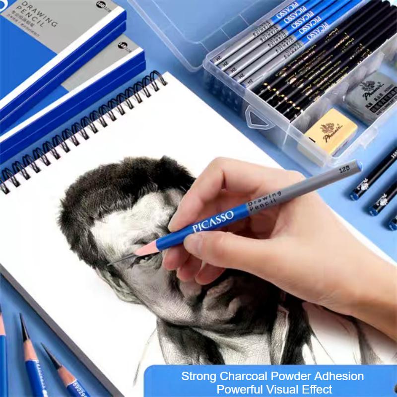 PHOENIX PICASSO Professional Sketching Pencils for Art Students Sketching Graphite Leads in 2B/8B/14B Grades Pull-out Design