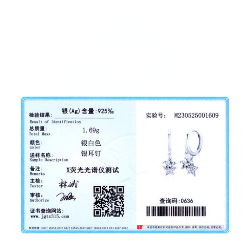 Tancise 925 Sterling Silver Zircon Earrings Drop Earrings For Women Wedding Party Gifts