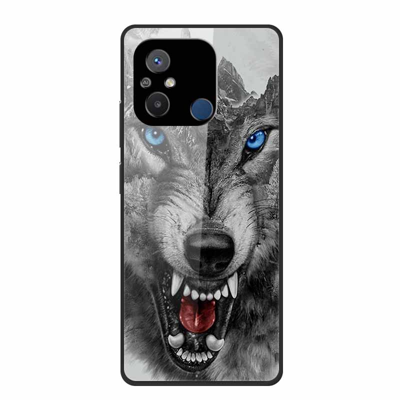 Gehärtetes Glas Case für Redmi 12C Rückabdeckung Hartschalen Case für Xiaomi Redmi 12C 4G Handyhülle Redmi12C Fundas 22120RN86G Cooler Stoßfänger
