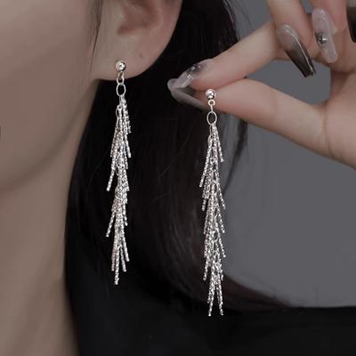 Luxus-Version S925 Silber Funkelnde Dichte Knochen-Quaste Ohrringe Damen Einfache Silberfarbene Ohrringe Party Feiner Schmuck Geschenk