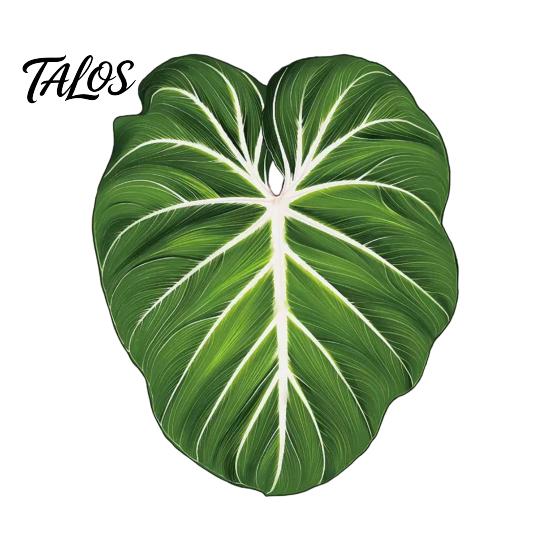 Botanical Fridge Magnets 3D Tropical Plants Refrigerator Magnet, Acrylic Green Decorative Plant Home Decor Memo Notes Photo Holder for Kitchen Office
