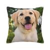 Brown Labrador Cute Dog Pet Animal Pillowcase Cushion Comfort Throw Pillow Sofa Cushions Used for Home Bedroom Living Room