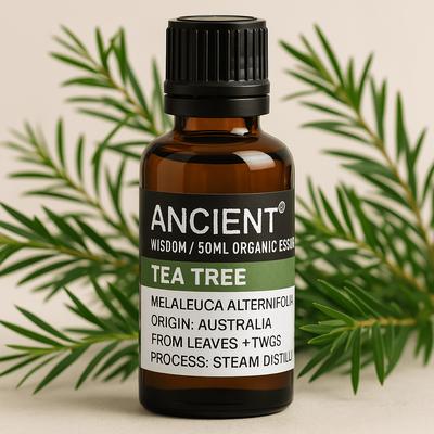 Tea Tree Essential Oil Organic 50ml