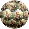 1pc Golden Retriever Tabby Cat Theme Soccer Ball Football, Size 5, Lightweight PVC, Durable Outdoor Training Soccer Ball, Gift m61471