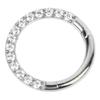 Nose   Hoop  3   Piercing Nose   Hoop Zirconia Decoration   Skin Friendly Exquisite Jewelry