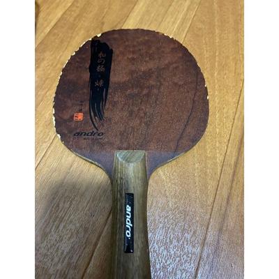 Tischtennis – Tischtennis-Schläger