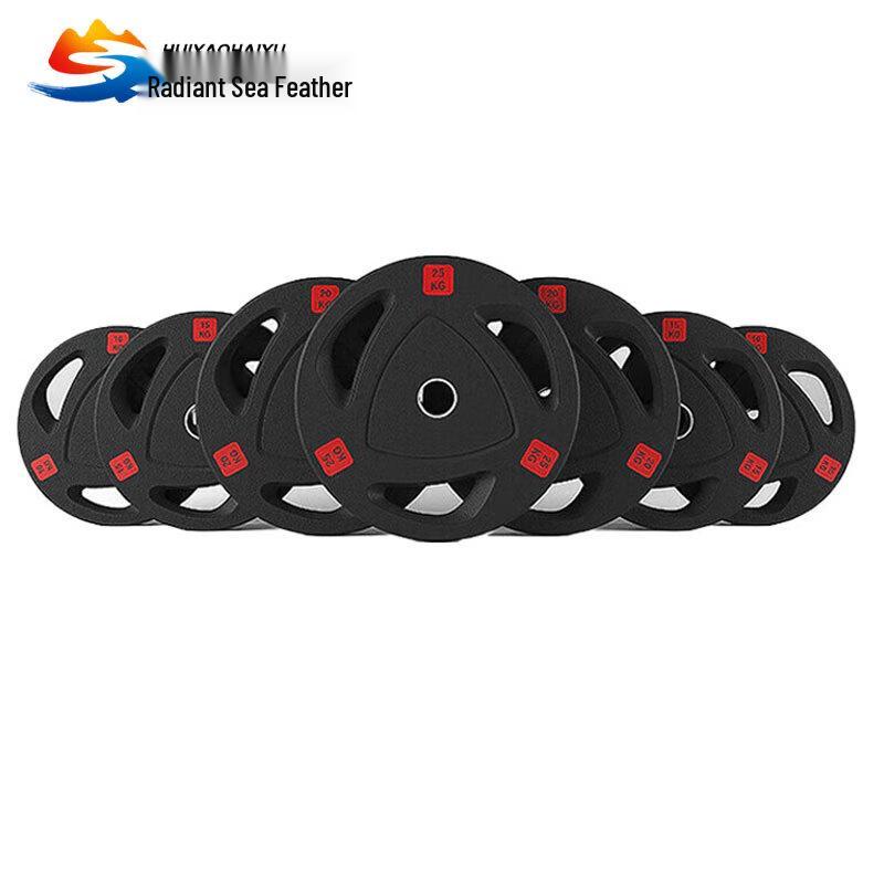 Huiyao Haiyu Encased Cast Iron Barbell Plate