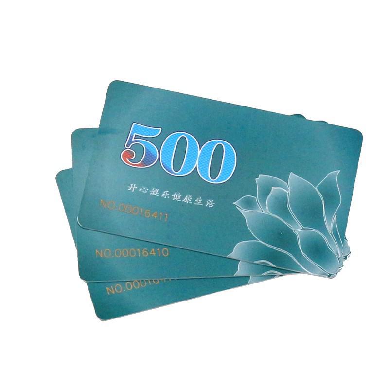 Chip Coin Card: Waterproof PVC Casino & Mahjong Voucher Chip