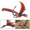 Figurka Dinozaura Przezroczysta Tekstura Dinozaur Jurajski Pterodaktyl Solidny Kolekcja Pterozaurów Dobra Wierność Poznawcza Zwierzęcia Ornament Zabawka dla Dzieci Model