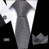 Pánské obchodní profesionálové s pruhovanou kravatou příslušenství ke svatebnímu obleku pro muže s polyesterovou kravatou