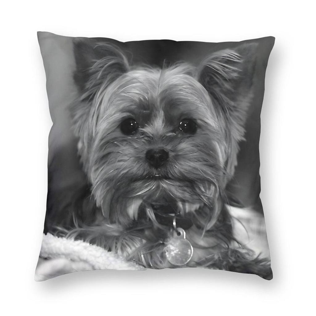 Yorkie Terrier Dog Cute Pillowcase Printed Polyester Cushion Cover Decor Pillow Case Cover Home Square cm