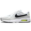 Air Max Sc White Photon Dust Black Volt CW4555-105