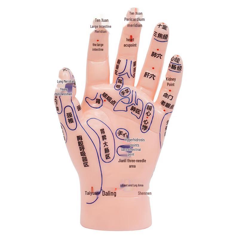 Ручная модель Xinman