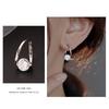 925 Sterling Silver Zircon Earrings for Women, Fashionable and Exquisite Trendy Earrings, Earrings, Light Luxury Korean Style Earrings
