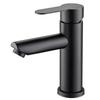 TLXT 304 Stainless Steel Single Cold Faucet