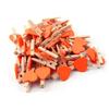 25/50Pcs Heart Wooden Clothespins, Colorful Mini Clips with Natural Jute Twine for DIY Crafts & Photo Display