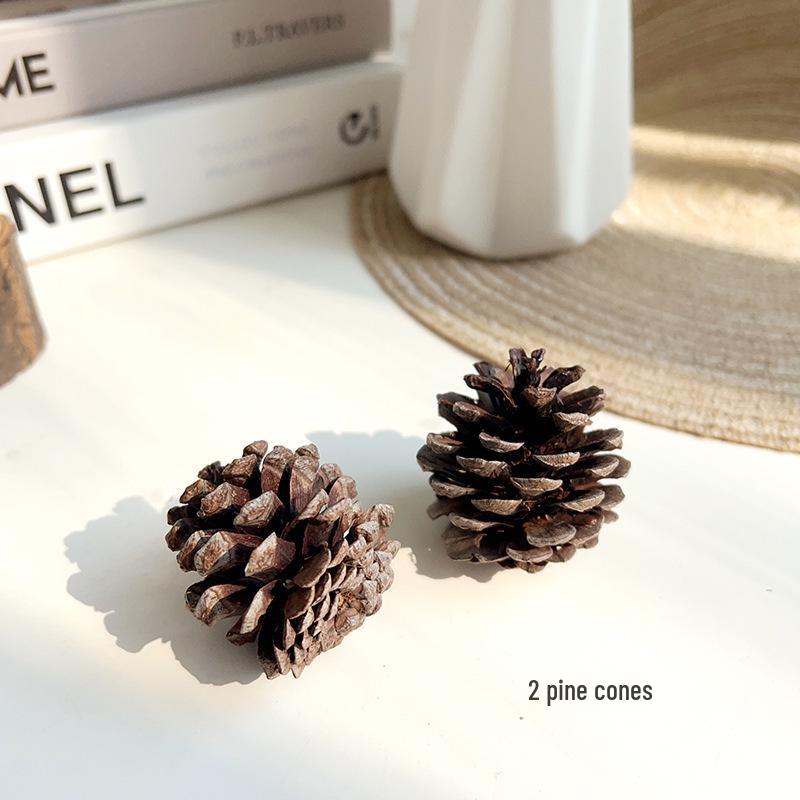 

Gu Mei Photography Props: Jewelry, Ornaments, and Cake Decoration for Photo Styling.