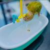 Plastic Parrots Bath Toy Automatic Bird Shower Supplies Durable Parrot Bathtub  for Small Pets