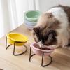 Ceramic Cats Feeder Dish with Nonslip Design Safe Feeding Bowl For Cats Food Water Bowl for Kittens Watering